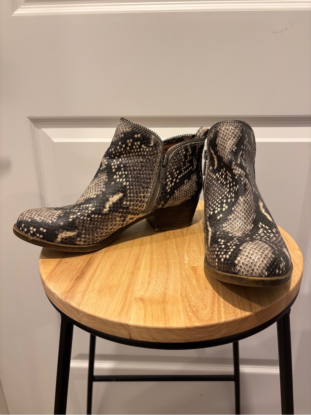 Lucky Brand Snake-Print Ankle Booties in Black and Cream